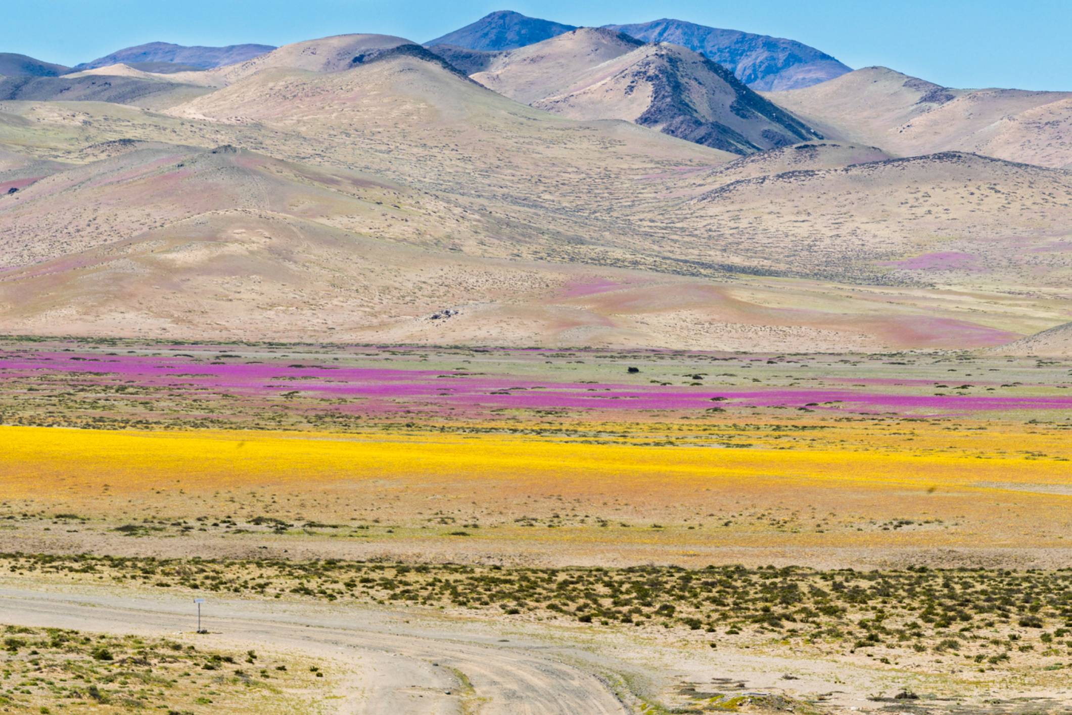 lugares turísticos en copiapó