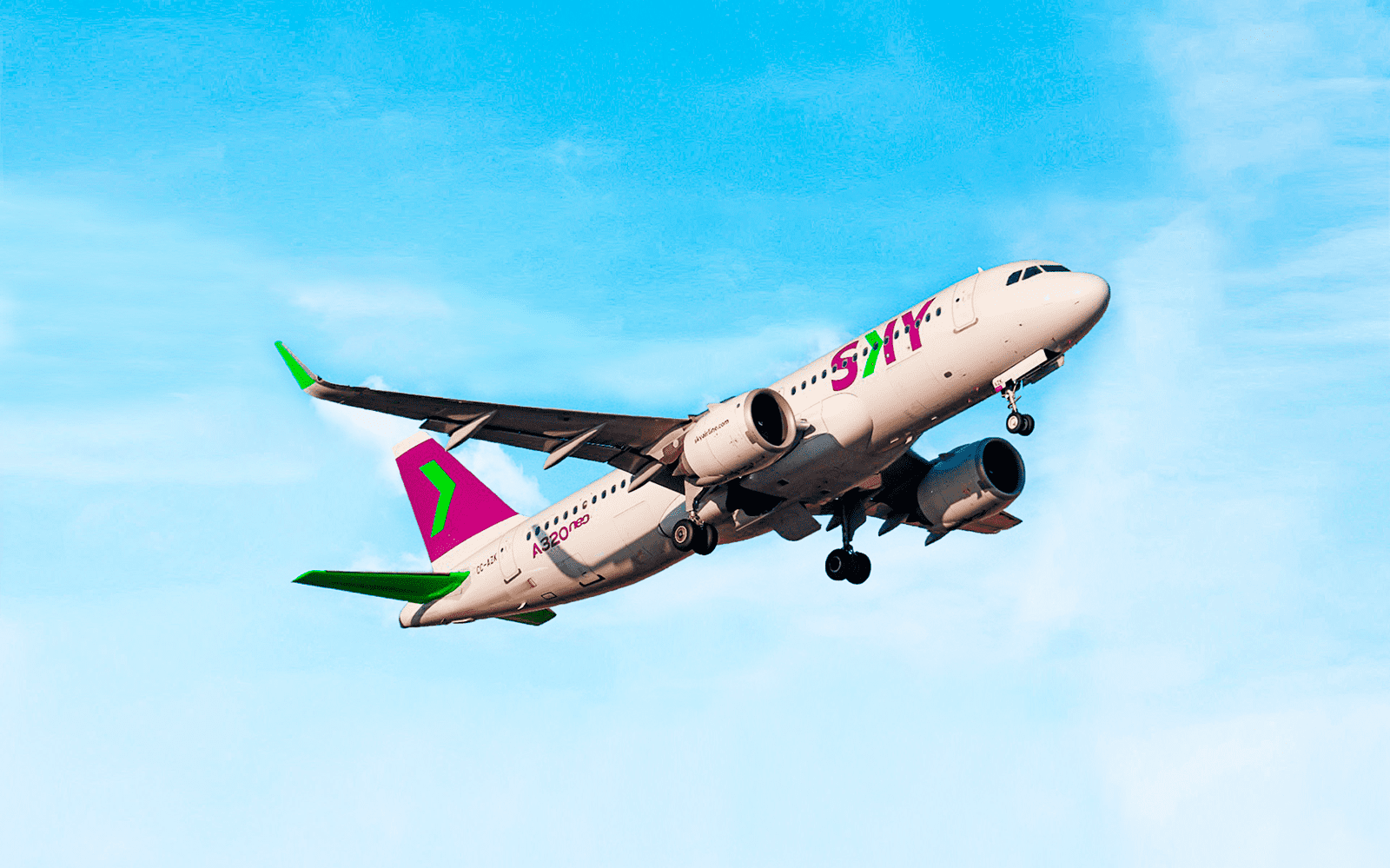 Sky vuelo