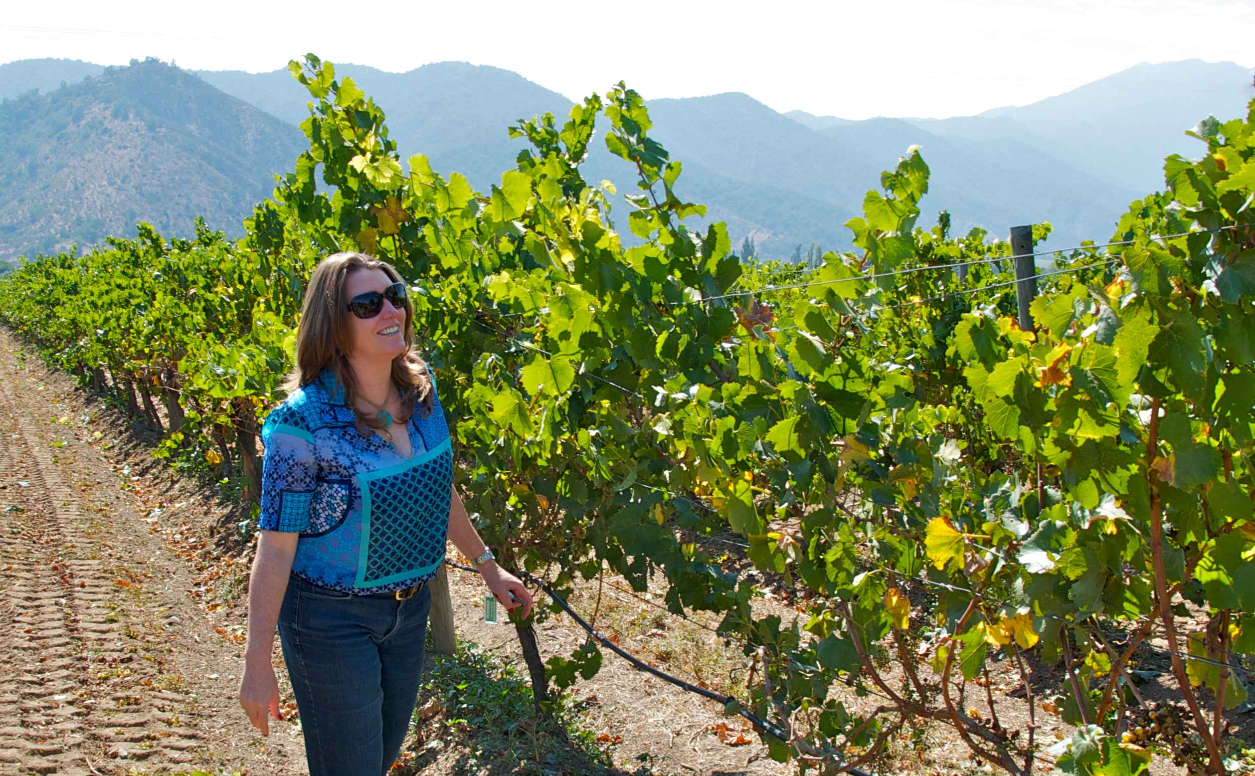 rutas del vino