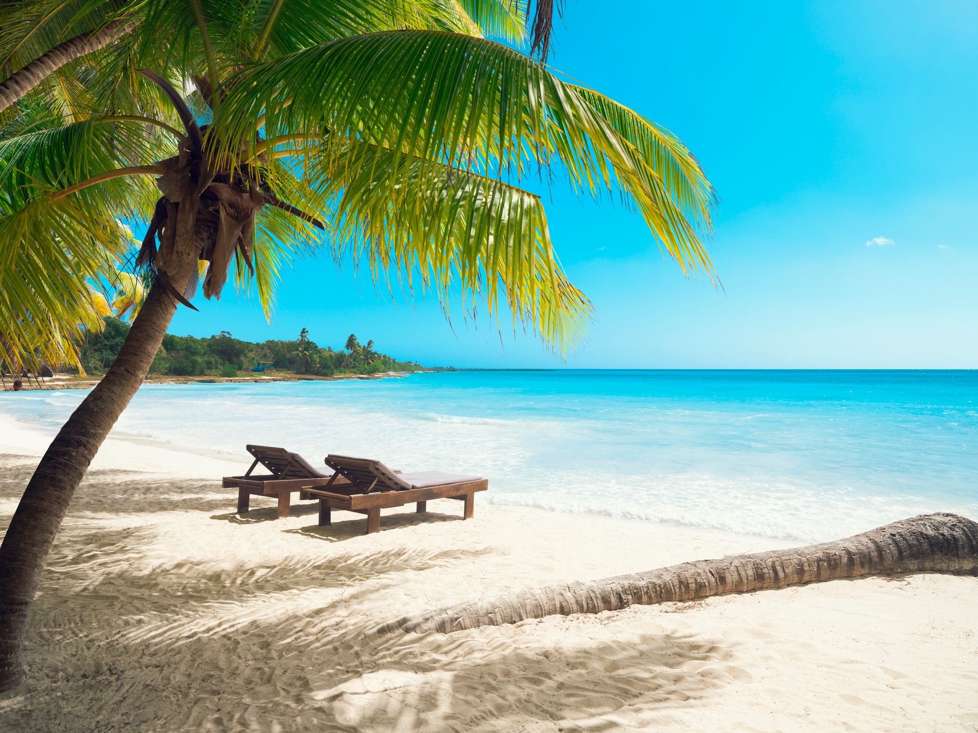 7 excursiones en Punta Cana que no puedes perderte