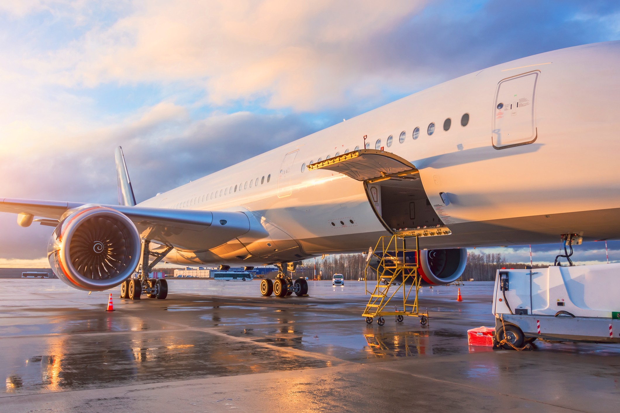 Sustentabilidad y sostenibilidad: ¿Cómo encara la industria de la aviación este nuevo reto?