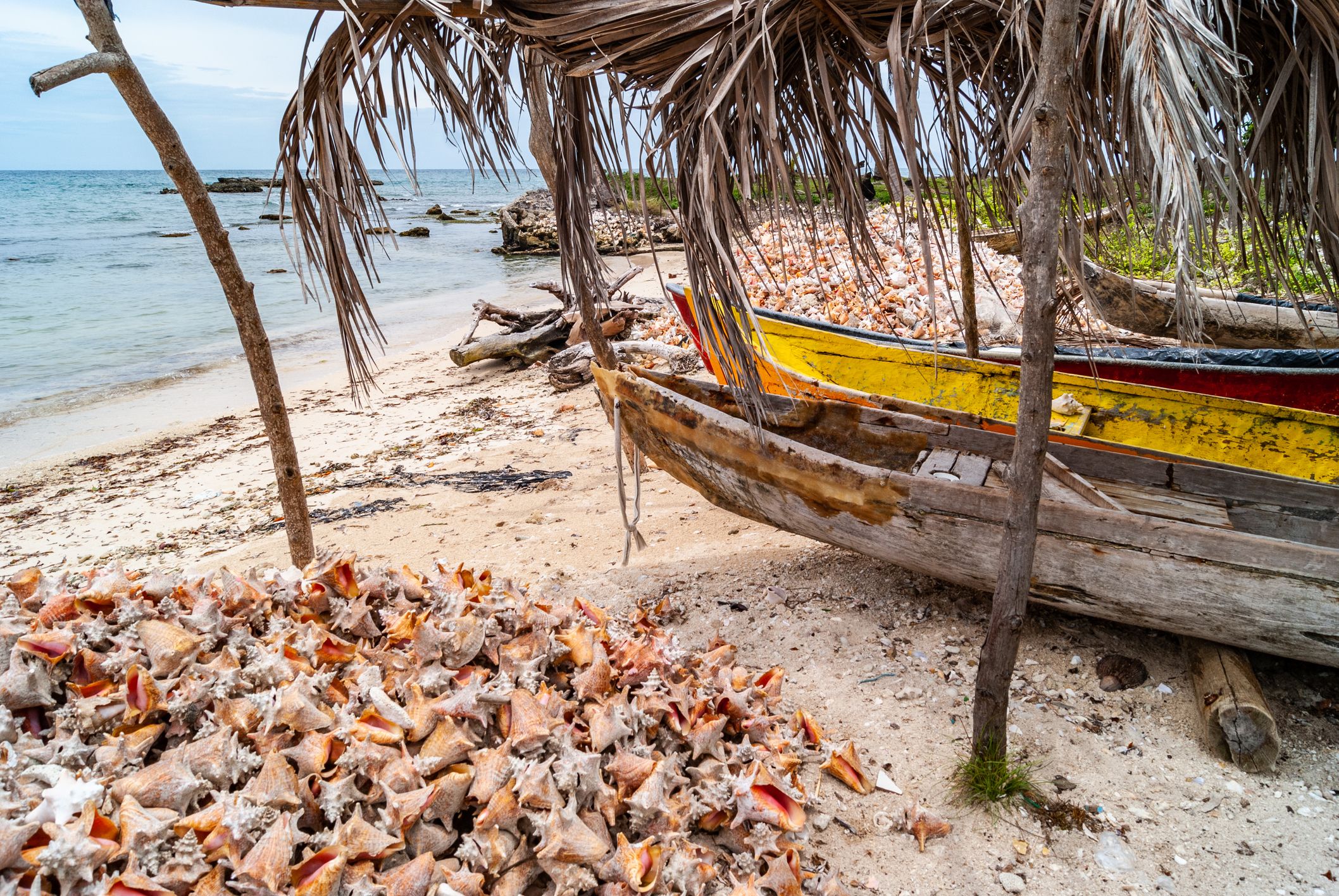 Islas de Colombia: ¡Este es nuestro top 10 de las más famosas y hermosas!