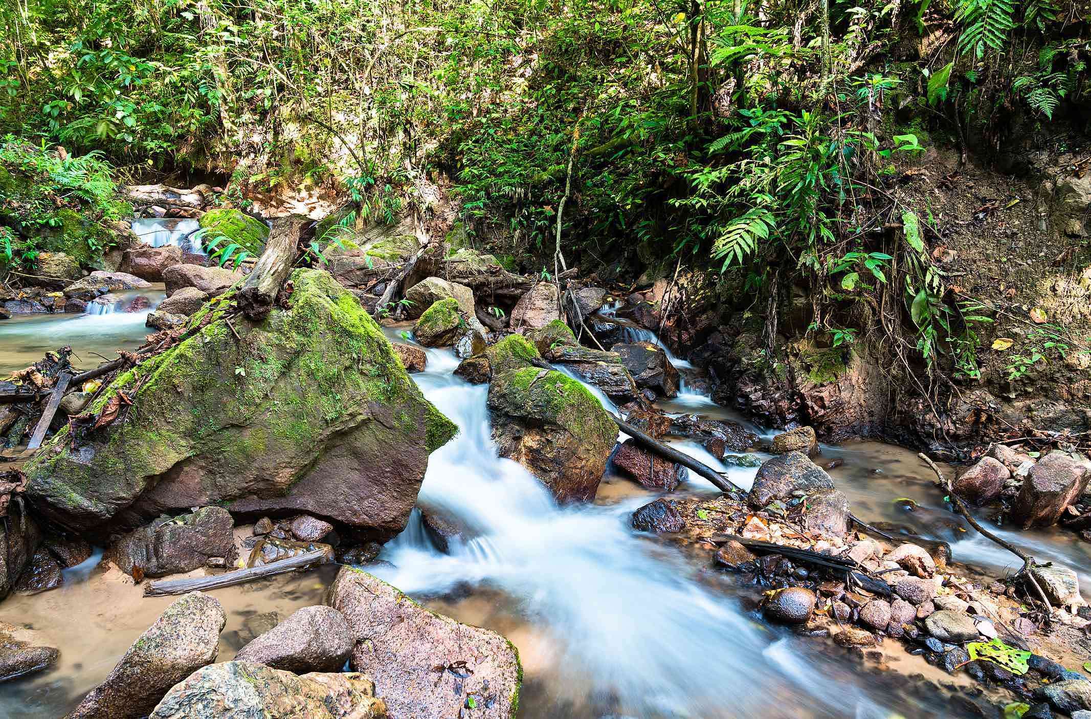 parque natural pichiluli