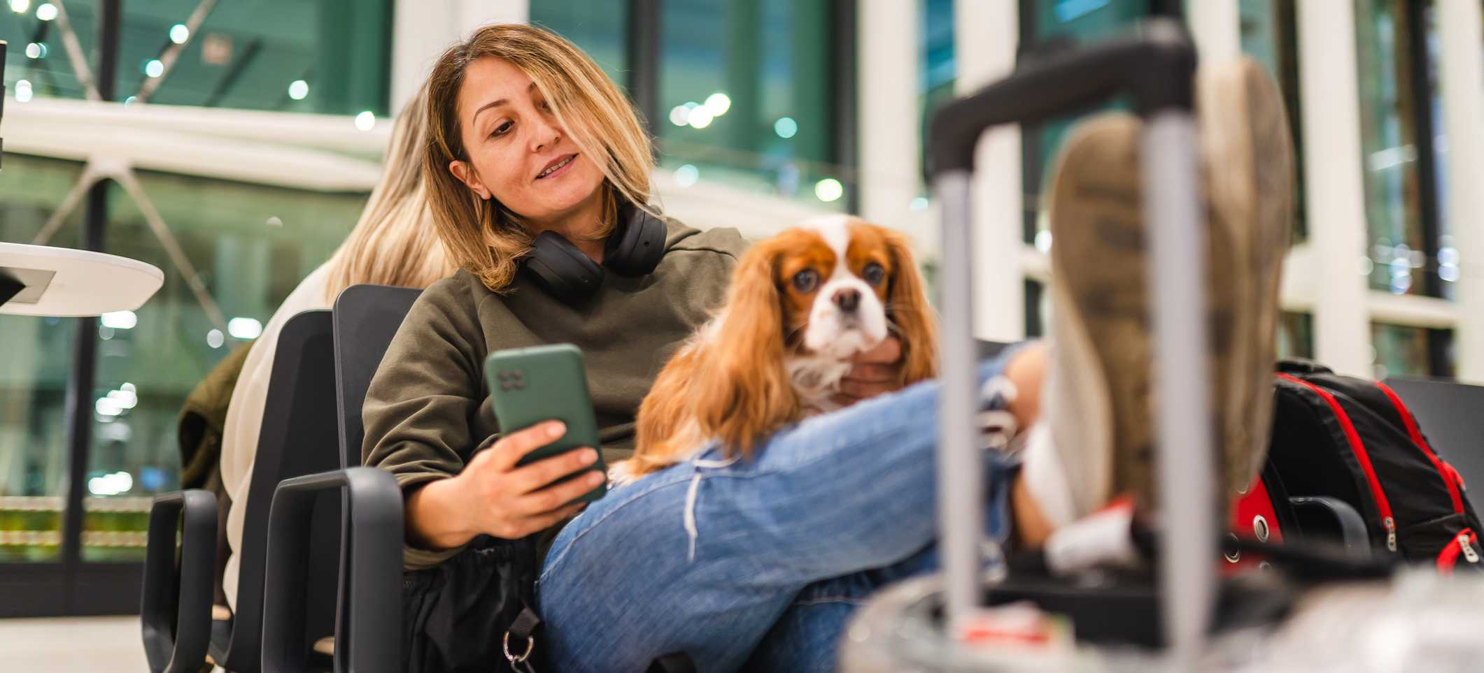 viajar con mi perro