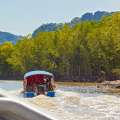 Lancha en río con manglares