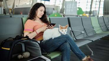 Terminal Sur de Santiago: ¿es mejor tomar el bus o avión para viajar por Chile?
