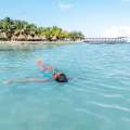 Descubre qué hacer en Playa Del Carmen