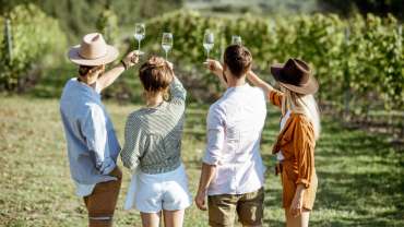 viñedos en chile