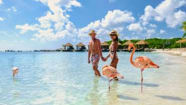 Pareja con flamencos a orillas de la playa en las islas del Caribe