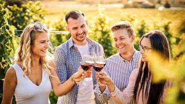 Grupo de amigos brindando en un viñedo