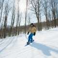 Mujer esquiando en la nieve con varios árboles secos detrás
