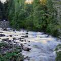 Paisaje del Parque Nacional Alerce Andino