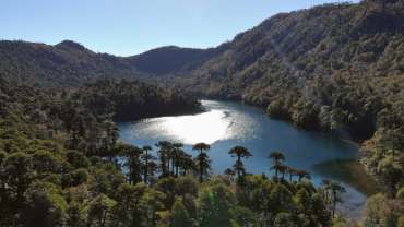 Montañas boscosas con un lago en la Región de La Araucanía