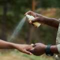 Padre aplicando repelente a su hija